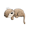 Dreaming otter takes a break