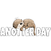 Anotter Day Otter takes a break