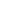 Ingenieur Genie