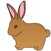 Rabbit animal symbol mammal brown