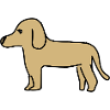 Dog animal symbol pet brown