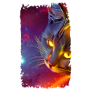 Chat de l'espace