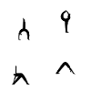 Yoga Sports