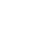 Bronx Shirt