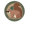 Cute Squirrel Squirrel Gift
