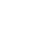 Bronx Shirt