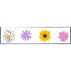 Bunte Blumen