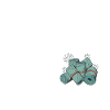 Shares Shareholder Investor