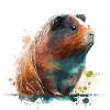 cochon d’Inde aquarelle