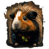 Cochon d’Inde doux