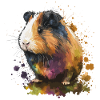 Hamster Illustration