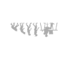 Evolution Funny Programmer Software Developer