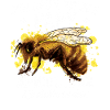 Papy Et Apiculteur