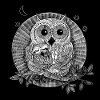 Eulen Illustration schwarzweiß