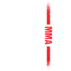 Sport Us Flag MMA