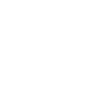 Sport Us Flag MMA