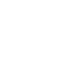 Sport Evolution Badminton