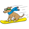 Snowboard Dog