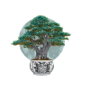 Bonsai Tree Meditation Gift