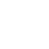 Bonsai Japan Tree Gift