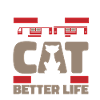 Train Driver Train Driver Cat