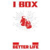 Boxing Boxer Cat