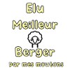 Meilleur berger