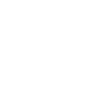 Mudi