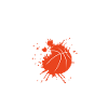 Portland basketball
