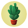 Plant in a clay pot
