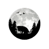 Opossum Moon Possum Marsupial
