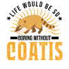Coati Gift Proboscis Coati