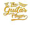 The guitarist
