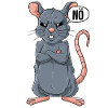 Ratte Nö