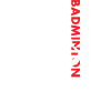 Sport Us Flag Badminton
