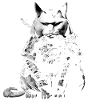 Cool Samurai Cat