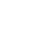 Lyon