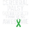 Hebral palsy, cerebral palsy consciousness