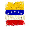 Venezuela Flag
