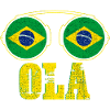 Brazil Flag