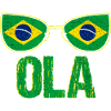 Brazil Flag