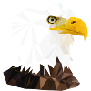 ADLER/ POLYGON