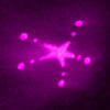 PURPLE STAR