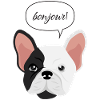 French Bulldog Bonjour