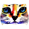 Cat face 6