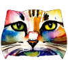 Cat face 7