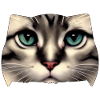 Cat face