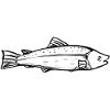 A fish (hand-drawn)