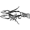 A lobster (hand-drawn)