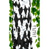 Birch Freya